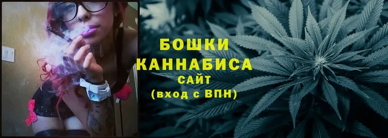 Каннабис OG Kush  Алупка 